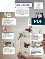 Infograma Cerrando Ciclos