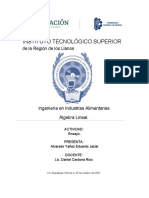 Aplicación de Matrices y Determinantes