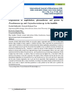 Pseudomonas Corynebacterium: Degradation of Naphthalene, Phenanthrene and Pyrene by Sp. and Sp. in The Landfills