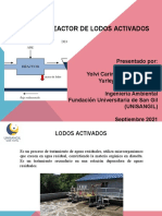 Reactor de Lodos Activados