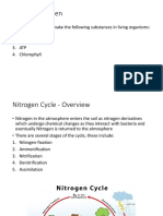 Nitrogen Cycle
