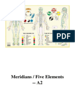 Meridians / Five Elements - A2 - Complementary Medicine
