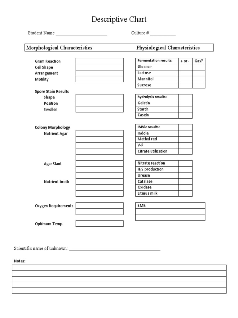 IMViC Results Identification Chart | PDF | Science & Mathematics