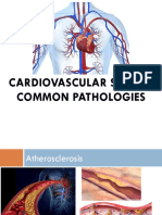 Cardiovascular System: Common Pathologies