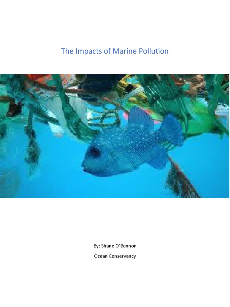 Effects and Solutions of Marine Pollution | PDF | Oil Spill | Pollution