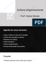 Slides Cultura Organizacional