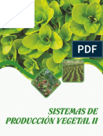 Sistema de Produccion Vegetal