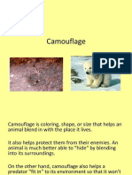 Camouflage2 Word