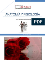 Anatomía y Fisiología