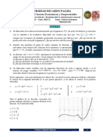 PD N°5 Derivada Optimiz 2020 Ii