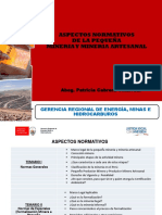1. Aspectos Normativos de La Pequeña Mineria y Minera Artesanal
