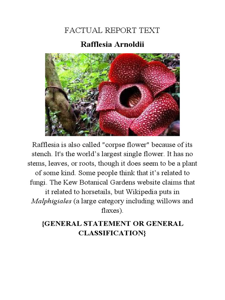 Factual Report Text | PDF