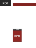 PDF Document
