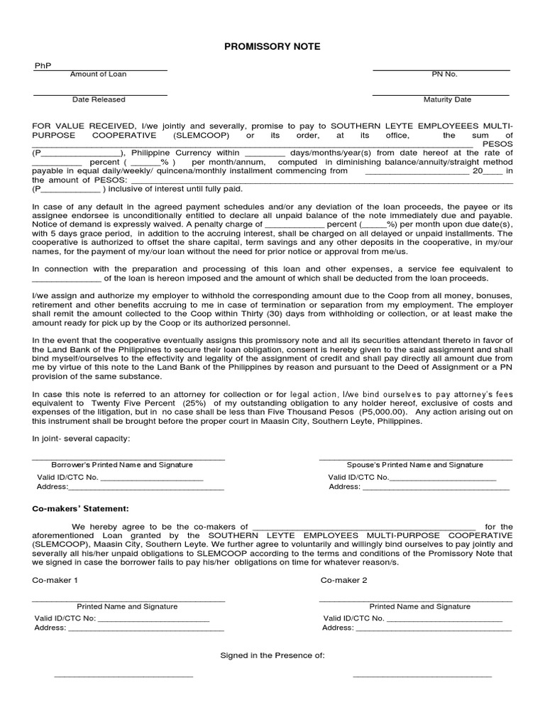 Promissory Note CoMakers' Statement PDF Loans Interest