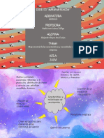 Caracteristicas y Necesidades de Una Empresa