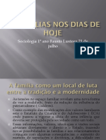 As Famílias Nos Dias de Hoje 1º Ano Fausto Lustosa 21 de Julho