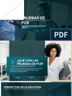 Pruebas de Pcr