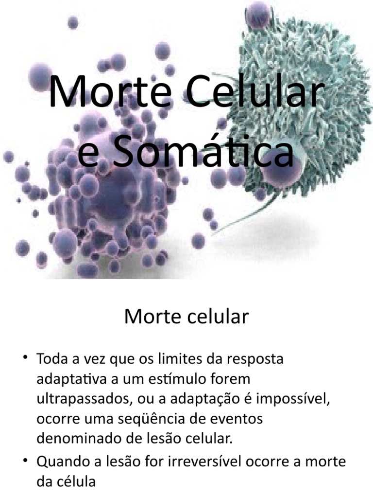 Tipos e Mecanismos da Morte Celular | PDF | Apoptose | Necrose