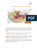 Celula y Componentes