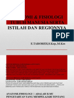 Anatomi & Fisiologi Tubuh Manusia,Istilah Dan Region