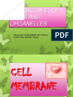 2:structure of Cells and Organelles