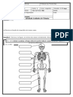 O Esqueleto Humano e seus Componentes