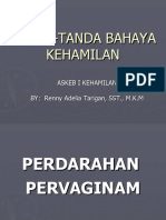 Tanda-Tanda Bahaya - Kehamilan