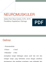 NEUROMUSKULER STRUKTUR