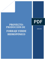 Proyecto Producción de Forraje Verde Hidropónico