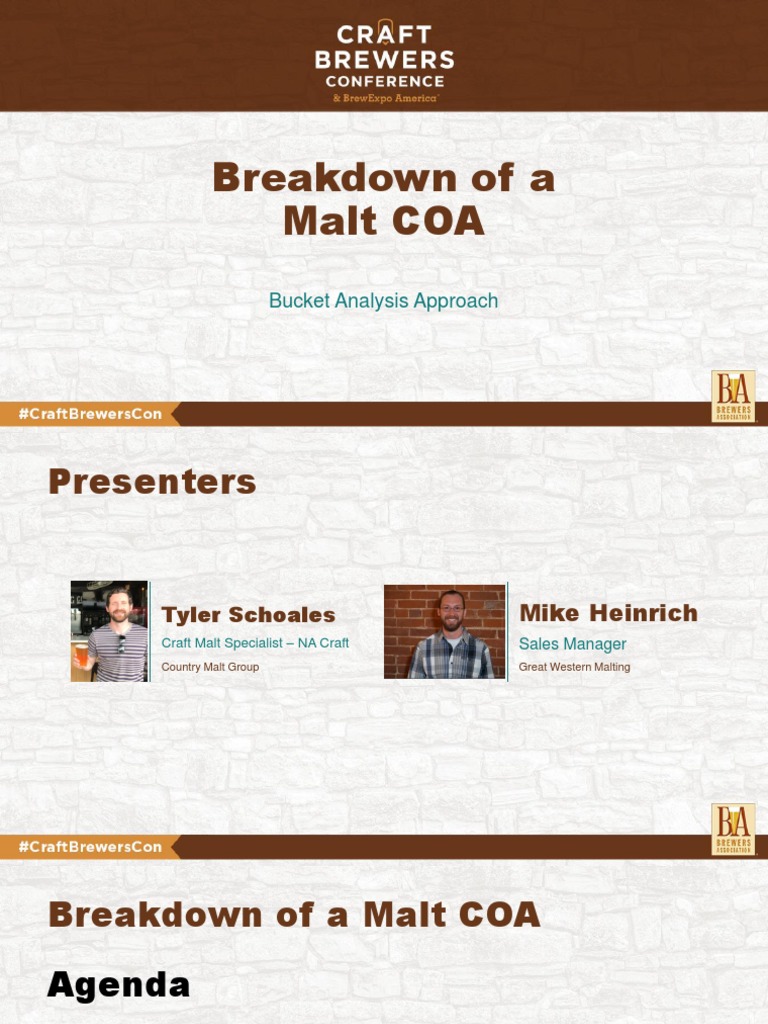 Breakdown of A Malt COA Bucket Analysis Approach PDF Malt Brewing