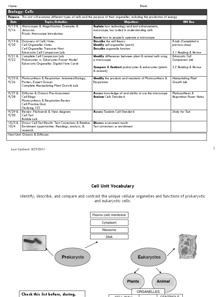 Bio Cells Packet | PDF | Cell (Biology) | Eukaryotes