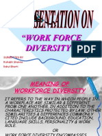 Work Force Diversity