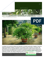 Comment Fertiliser Un Palmier ?