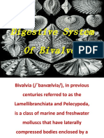 Bivalves - Digestive System