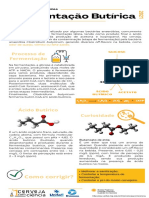Fermentação Butírica Na Cerveja