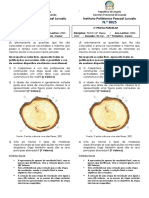 Modelo de Enunciado TCO-E