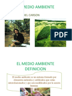 EL MEDIO AMBIENTE