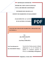 Rapport de stage de Alice et Fleury 3ère Version