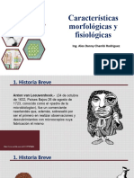 Características Morfológicas y Fisiológicas: Ing. Alex Danny Chambi Rodriguez