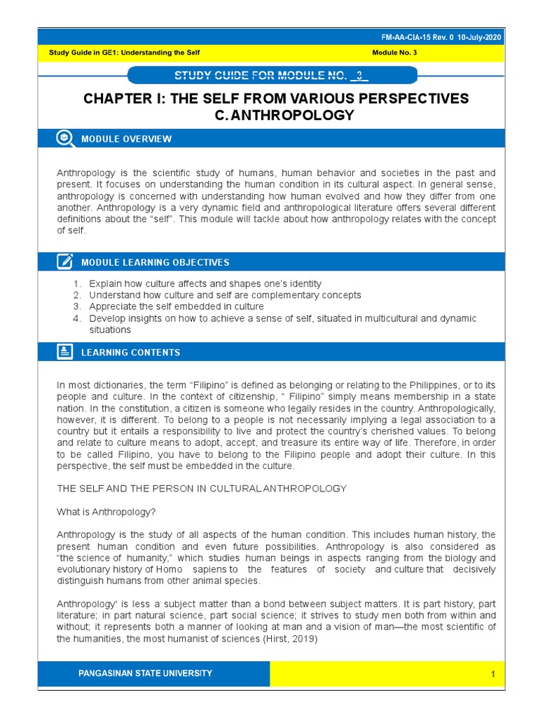 Anthropology and the Cultural Self | PDF | Identity (Social Science ...