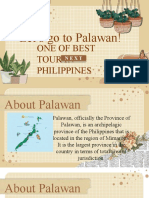 Let's Go To Palawan!: One of Best Tour in Philippines