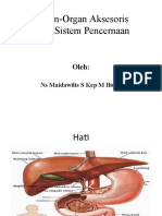 Organ Asesoris Sistem Pencernaan