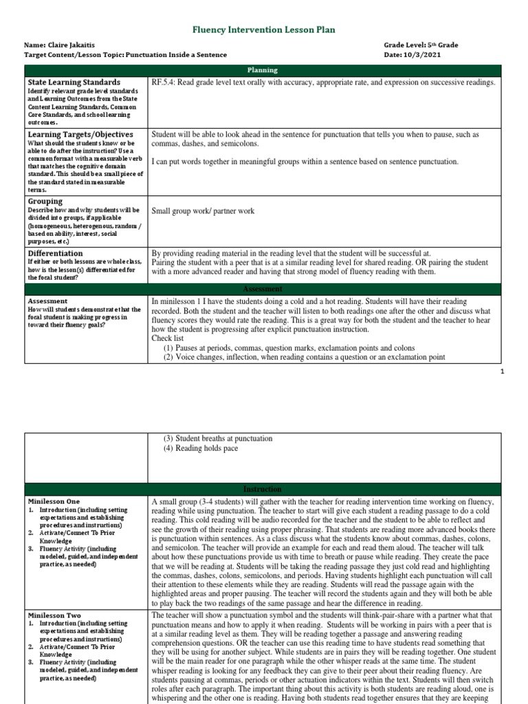 5th Grade Punctuation Fluency Lesson Plan | PDF | Punctuation ...