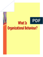 What Is Organizational Behaviour? Organizational Behaviour?