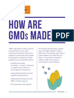 Agricultural Biotechnology - How Are GMOs Made