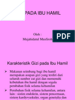 Gizi Pada Ibu Hamil