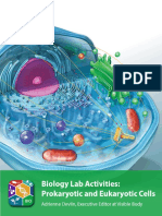 Visible Biology Site License Lab Activities Prokaryotic and Eukaryotic Cells Student