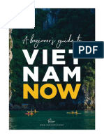 Beginner's Guide To Vietnam NOW