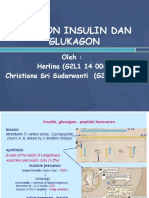 Hormon Insulin Dan Glukagon
