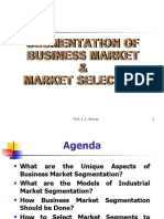 Business Market Segmentation (P)